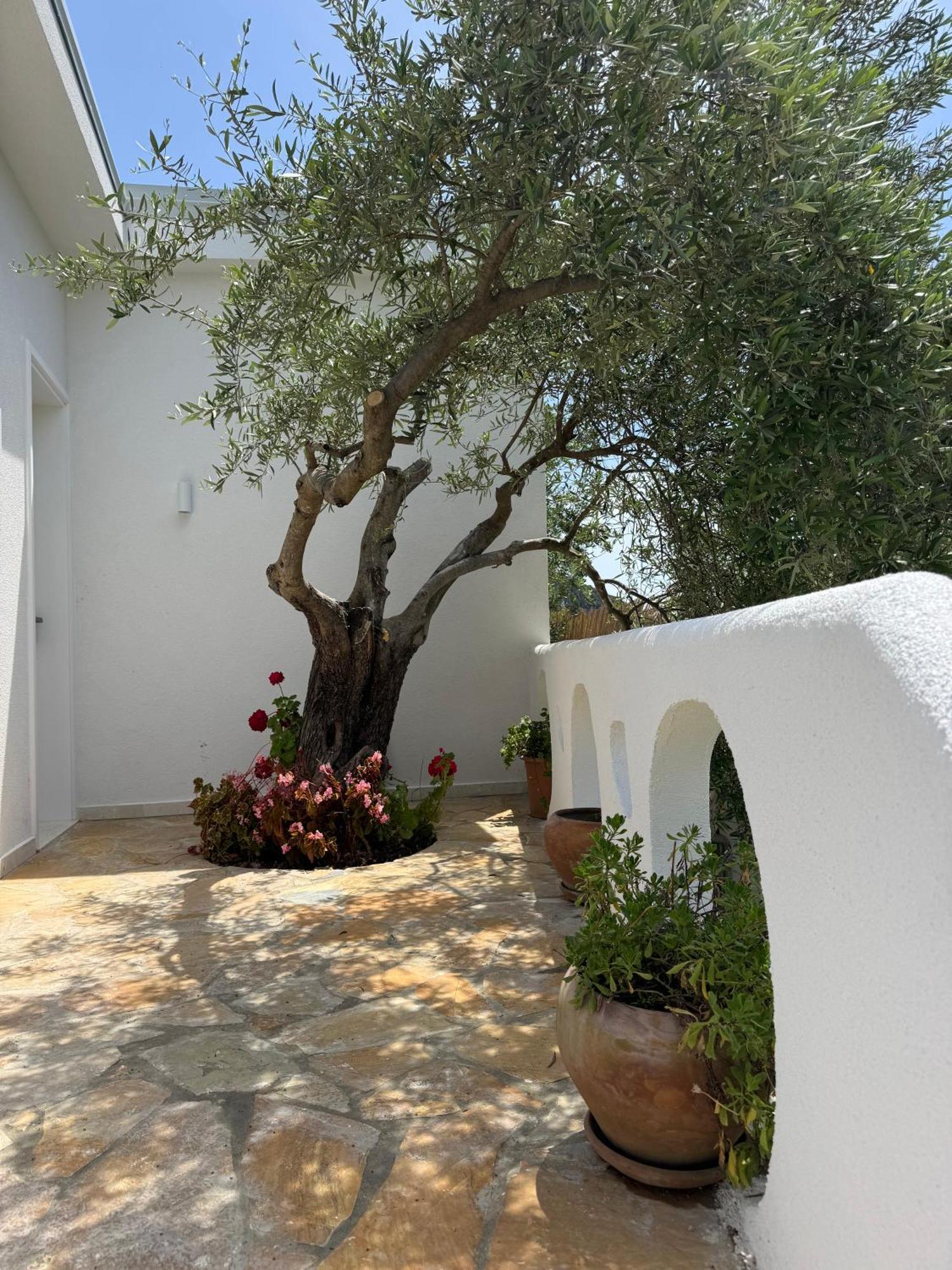 Alevra Hotel Dhermi Exterior photo